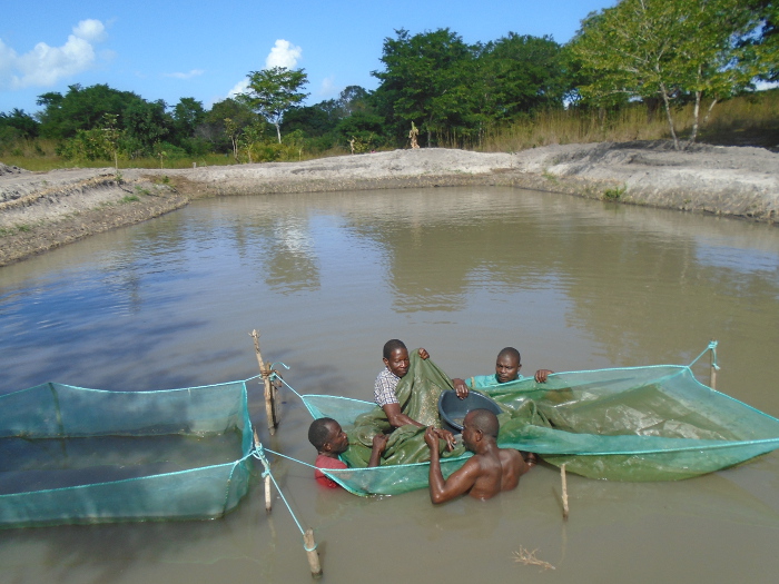 Itticoltura ECO-ILHAS